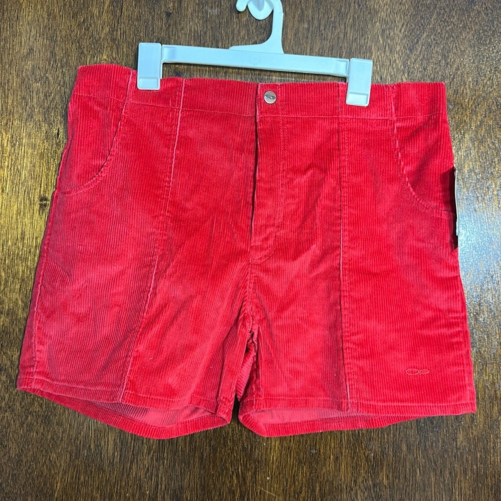Vintage OP Surf and Skate Corduroy Shorts